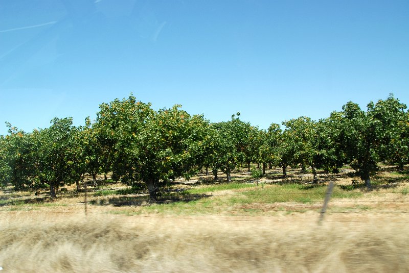 2011-07-18_San Francisco-Tag24_018.jpg